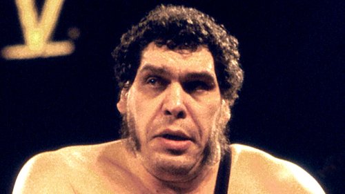 The Record-Breaking Number Of Beers That Andre The Giant Could Drink