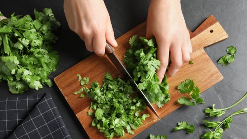 Most Of The World's Cilantro Comes From This Country