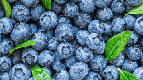 The Difference Between Wild Blueberries And Farmed Blueberries