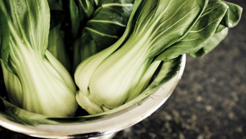 11 Bok Choy Recipes That Are Bound To Be A Hit
