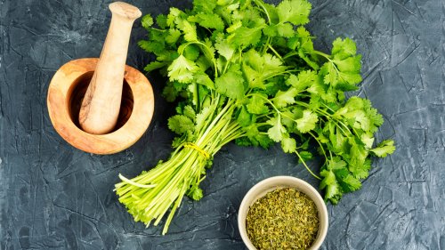 Why There's No Perfect Substitute For Cilantro