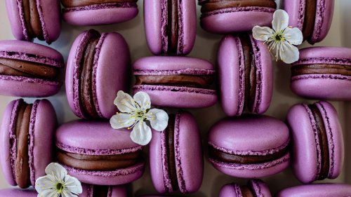15 Tips For Baking The Absolute Best Macarons