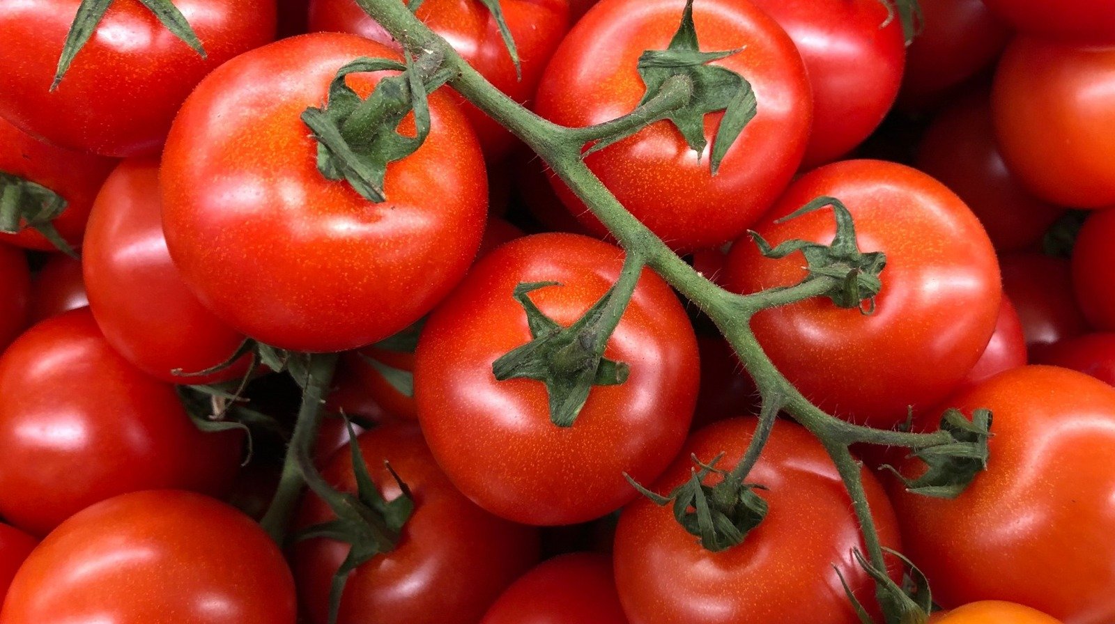 20 Tricks To Make Your Tomatoes Even More Delicious