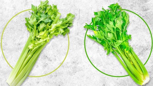 Western Celery Vs Chinese Celery: What's The Difference