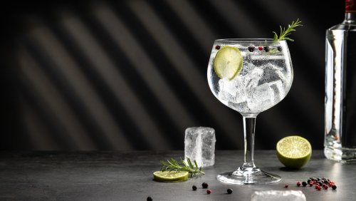 The Right Way To Drink Gin, According To An Expert
