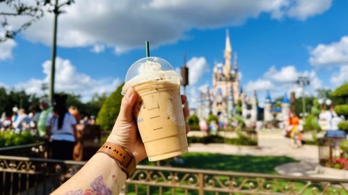 17 Best Spots For Coffee In Disney World