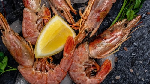 12 Types Of Shrimp Explained
