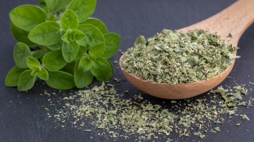 What Makes Mexican Oregano Different From The Common Variety?