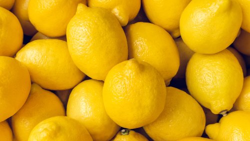 31 Types Of Lemons And What Makes Them Unique