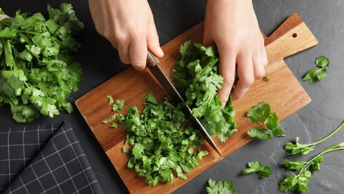Why You Should Stop Throwing Out Cilantro Stems
