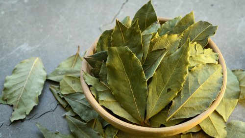 What Happens If You Accidentally Eat Bay Leaves?