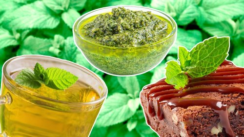 What Is Chocolate Mint And How Do You Use It?