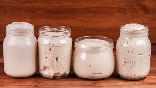 Poolish, The Pre-Ferment That Pizzerias Use For Flavorful Dough