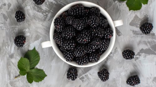 11 Blackberry Recipes You'll Want All Year Round