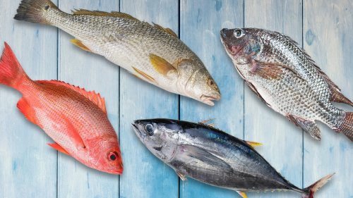 10 Expensive Fish That Aren't Worth The Splurge