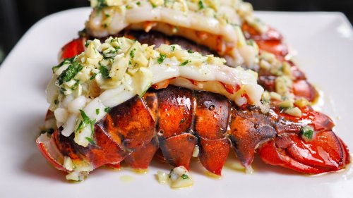Why You Should Sous Vide Your Next Lobster Dinner