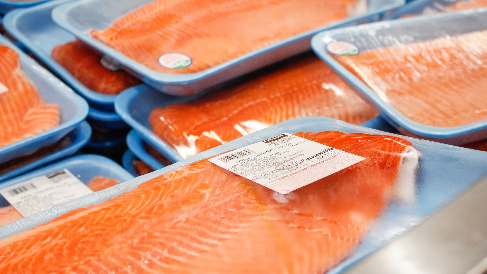 When Buying Salmon, Opt For Wild-Caught Over Farm-Raised