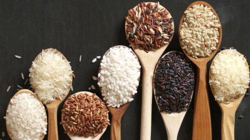Everything You Need To Know About Rice