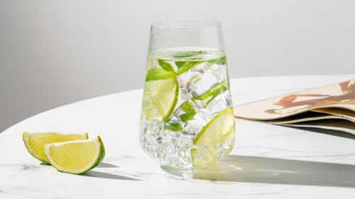 The Hands-Down Best Type Of Gin To Use For A Gin And Tonic
