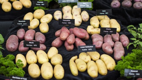 Types Of Potatoes And When To Use Them