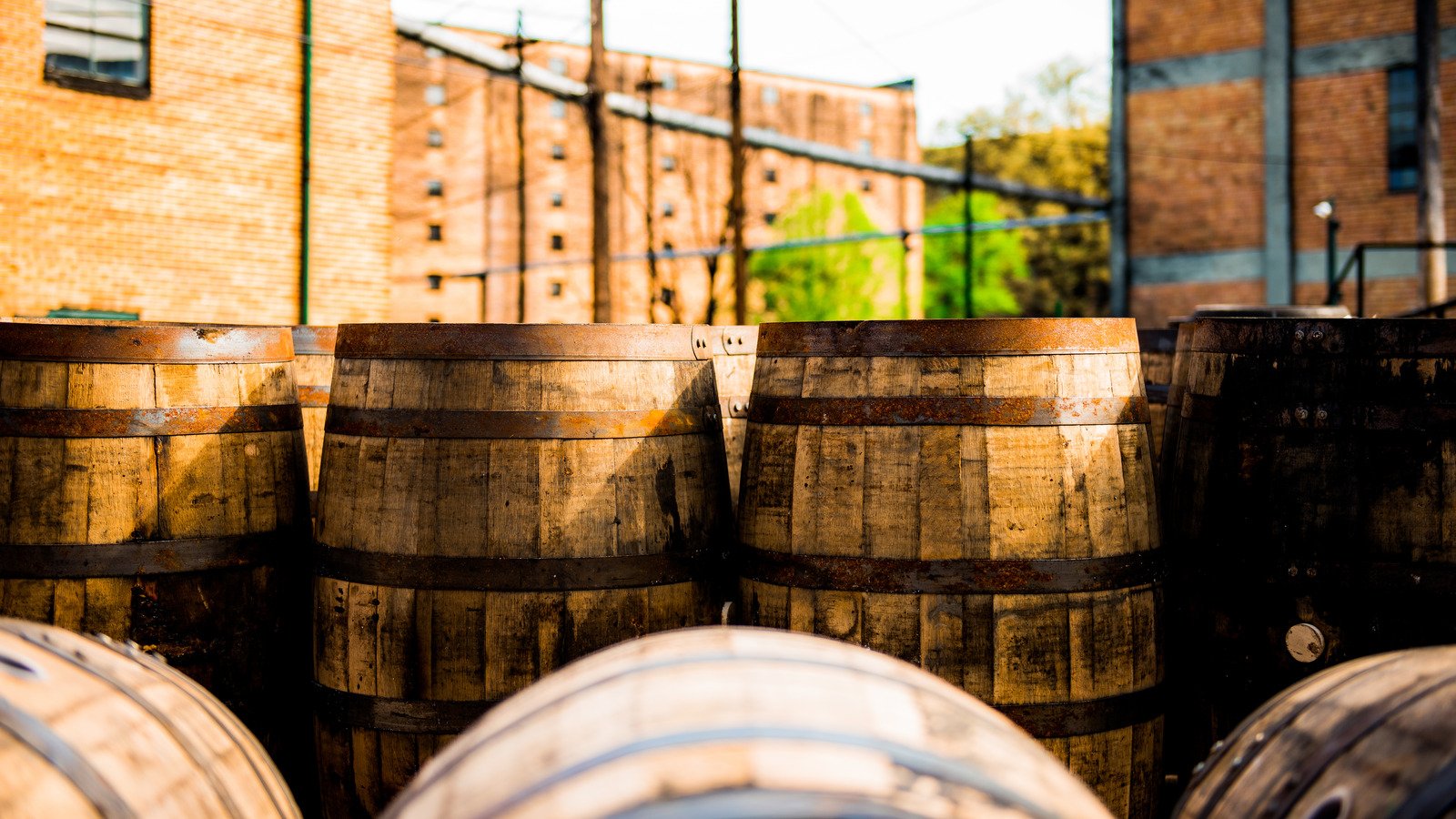 14 Best Distilleries To Visit Along Kentucky's Bourbon Trail