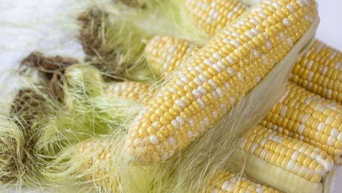 What To Do With Corn Silk Instead Of Throwing It Away