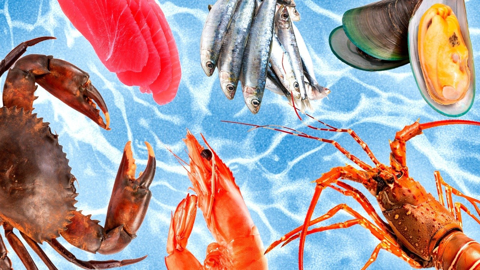 20 Popular Types Of Seafood, Ranked