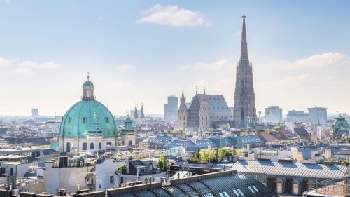 20 Best Restaurants In Vienna
