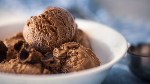 The Best Type Of Cocoa Powder To Use For Chocolate Ice Cream