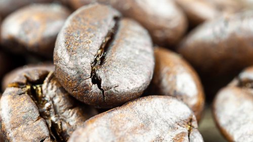 How Climate Change Is Affecting Coffee Production, According To Omar El Akkad