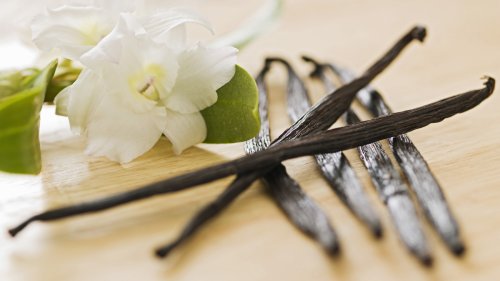 What's The Difference Between Vanilla And French Vanilla?