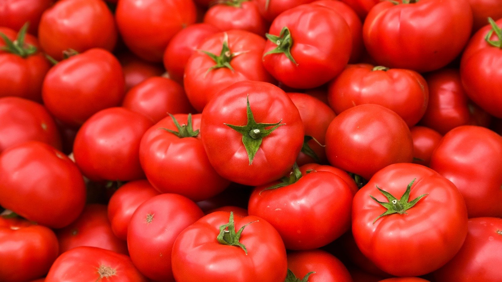 The Biggest Mistakes You Need To Avoid When Preparing Tomatoes