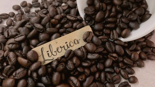What Makes Liberica Coffee Unique?
