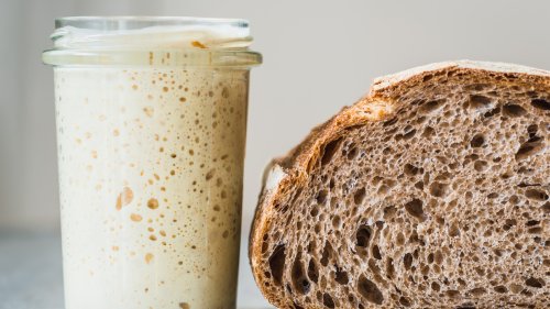 How To Rehydrate Dried Sourdough Starter To Start Your Baking