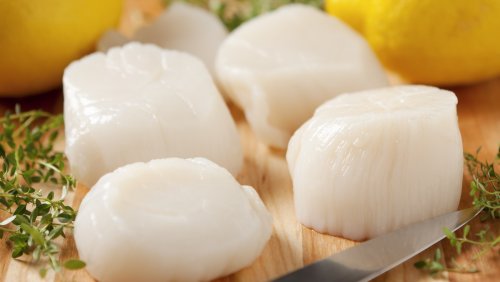 What To Look For When Buying The Best Quality Scallops, According To An Expert