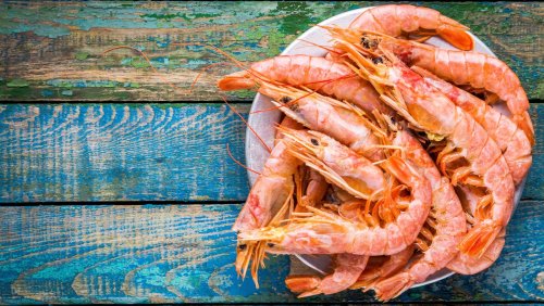 what-is-the-largest-size-shrimp-you-can-buy-flipboard