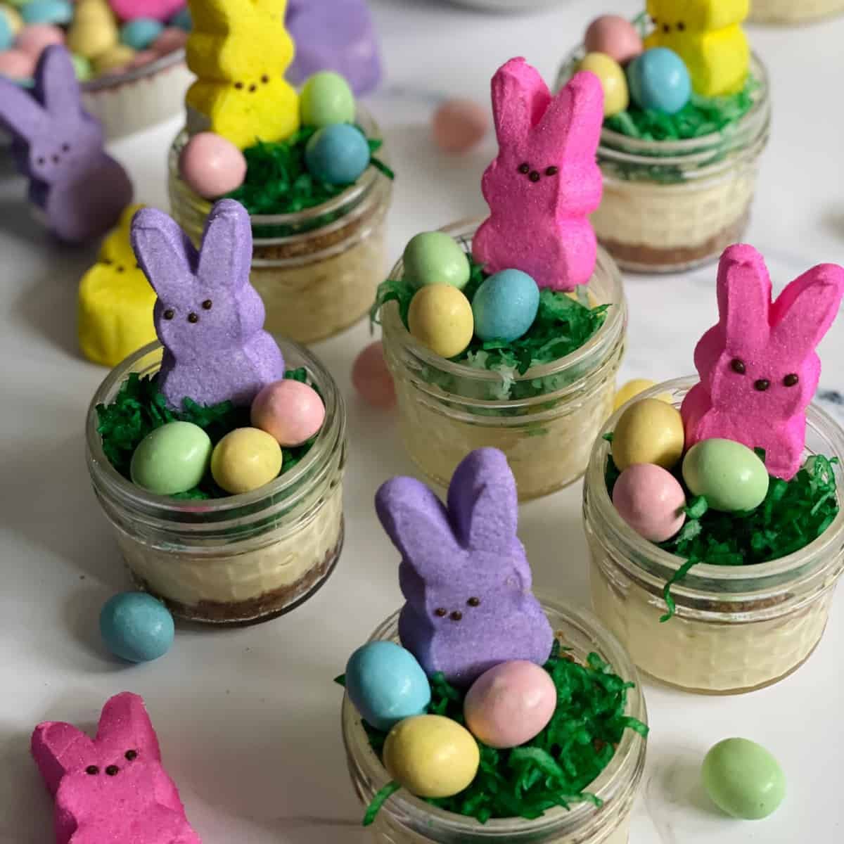Mini Easter Cheesecakes in Jars (Instant Pot Recipe) - Tasty Oven