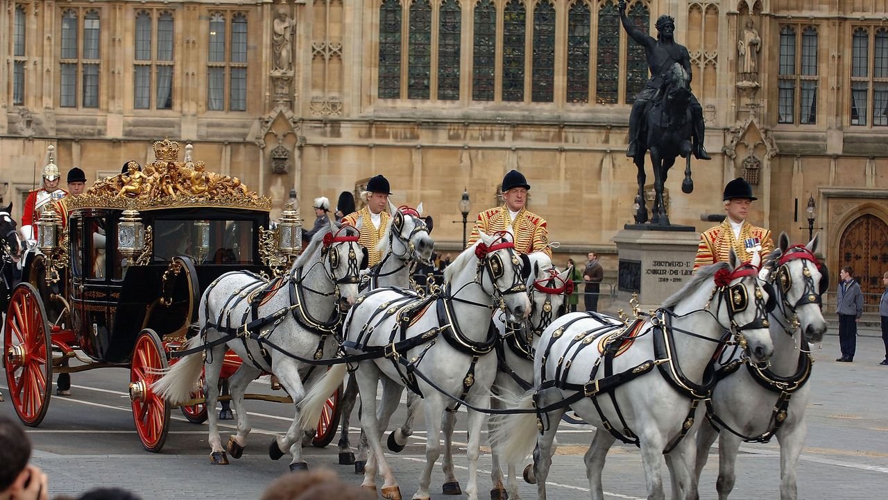 Meet King Charles’s Coronation horses: eight Windsor Greys will pull the Gold State Coach