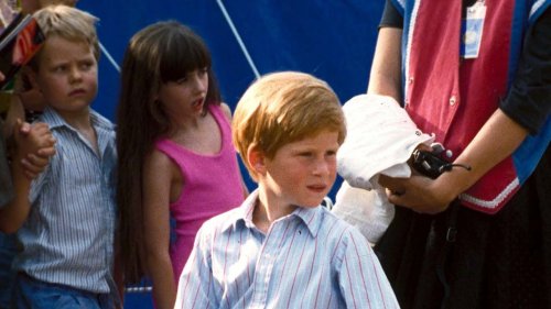 Princess Dianna's brother and young Prince Harry are interchangeable in latest Instagram