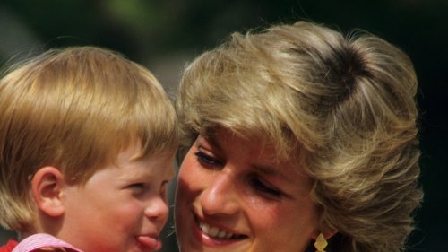 Prince Harry’s tribute to Diana: the Duke displays a sweet photograph of the Princess during a virtual appearance