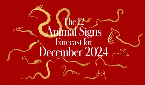 Luck Favors 5 Chinese Zodiac Signs The Week Of December 2 - 8, 2024 ...