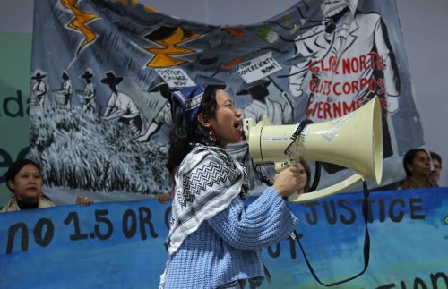 Cop29: From the controversy about carbon credits to the Fossil of the Day awards