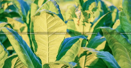 28% GST Attracts on Supply Unmanufactured Tobacco Leaf Coated with Natural Edible Gum: AAR [Read Order]