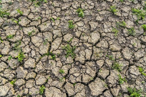 Naturschutz im Koalitionsvertrag: Sie wissen nicht, was sie tun