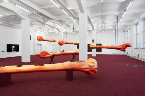 Ausstellung „Over Land and Sea“: Mit Knochenkajaks durch die Zeit
