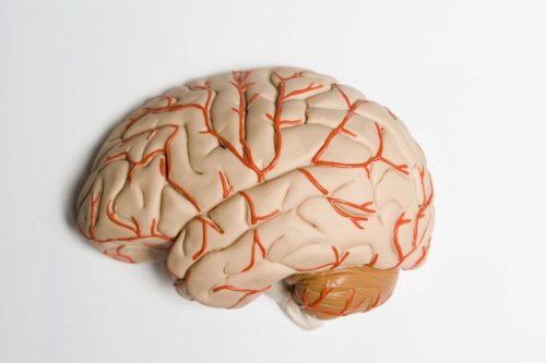 Ein neuronaler Tsunami