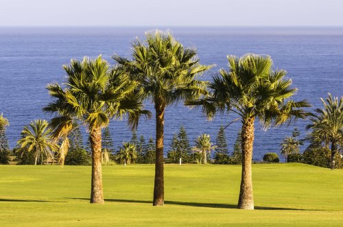 Trainertypen beim Golf: Von Pros und Proetten