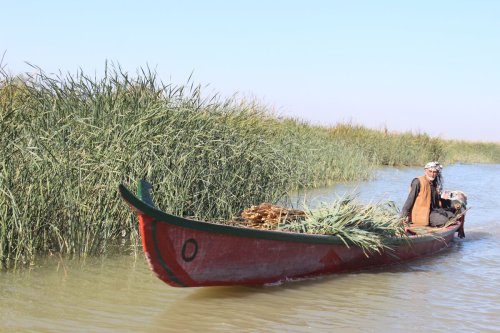 Irakische Marschgebiete: Gefährdetes Paradies im Schilf