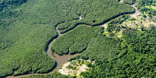 Hoffnung für den Amazonas