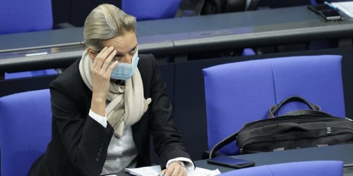 AfD soll fast 400.000 Euro blechen